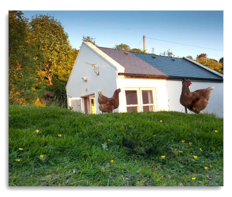 Cosy Self Contained Cottage With Stunning Views Killaloe Bagian luar foto