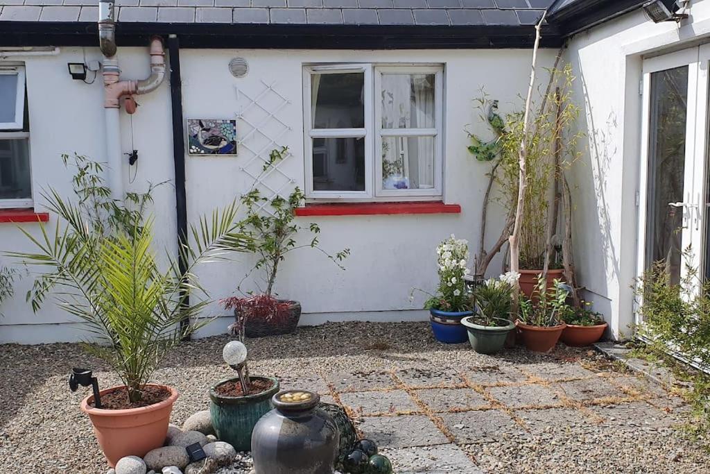 Cosy Self Contained Cottage With Stunning Views Killaloe Bagian luar foto
